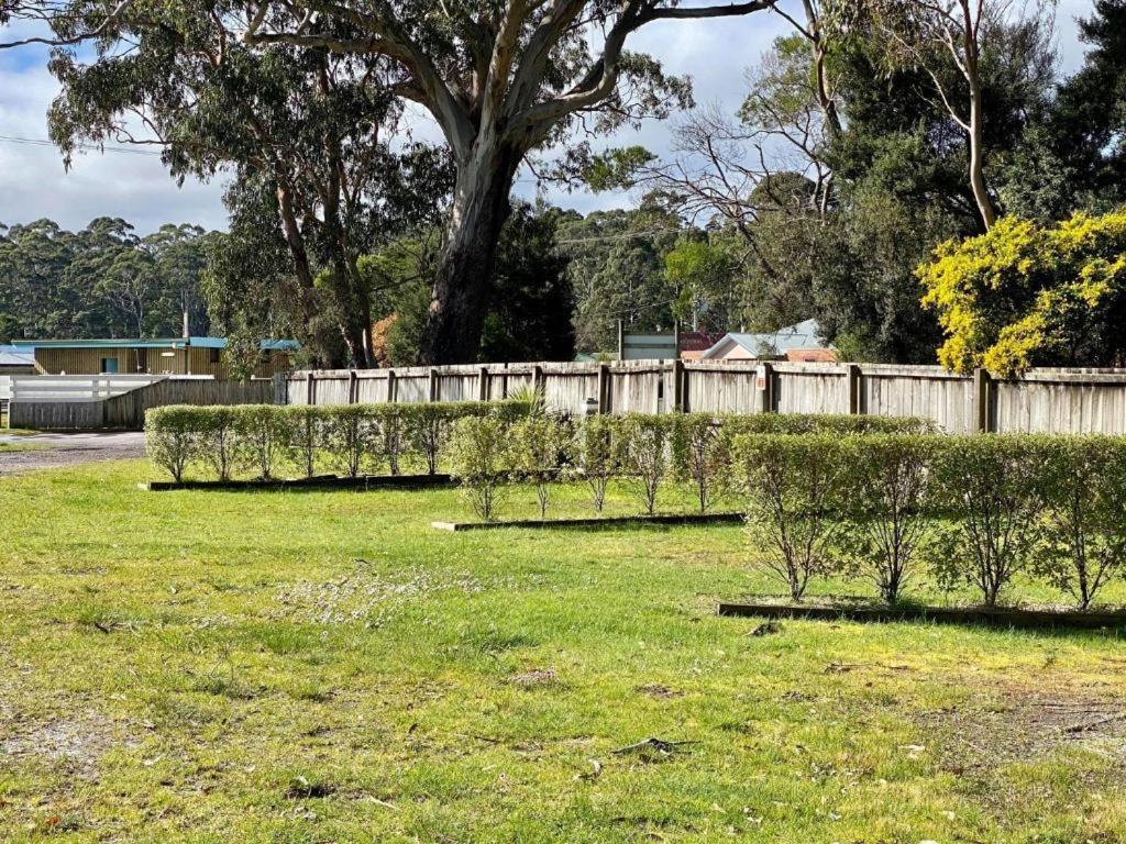 Strahan Beach Tourist Park מראה חיצוני תמונה